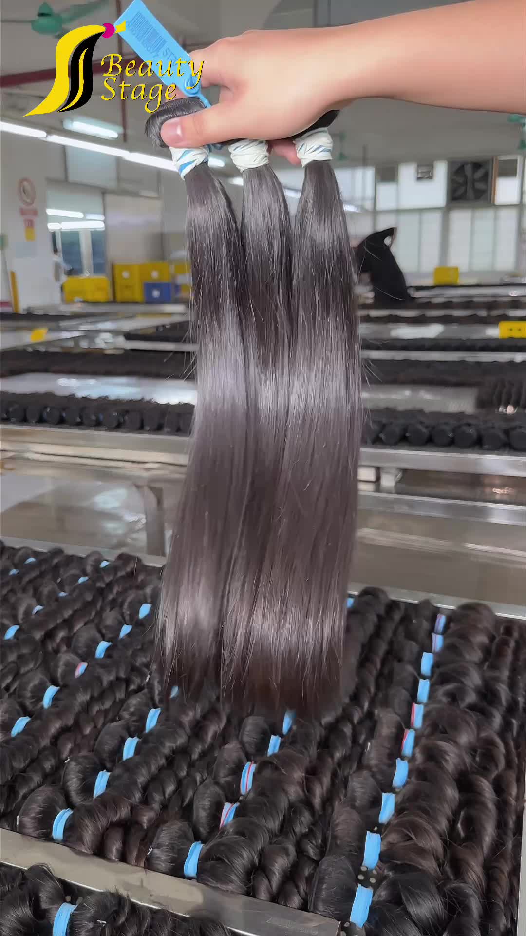 13A Raw Hair Bundle Deals--Straight,White Rubber Band Hair